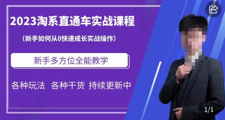 2023淘系直通车保姆式运营讲解，新手如何从0快速成长实战操作，新手多方位全能教学-汇智资源网