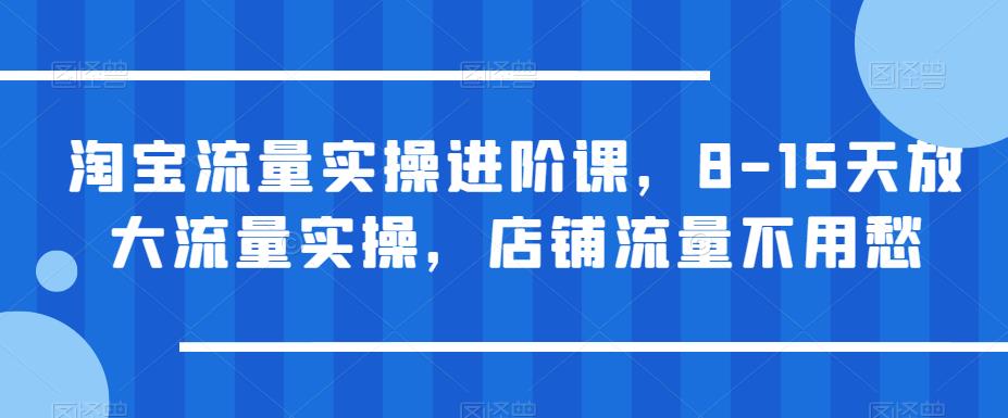 淘宝流量实操进阶课，8-15天放大流量实操，店铺流量不用愁-汇智资源网