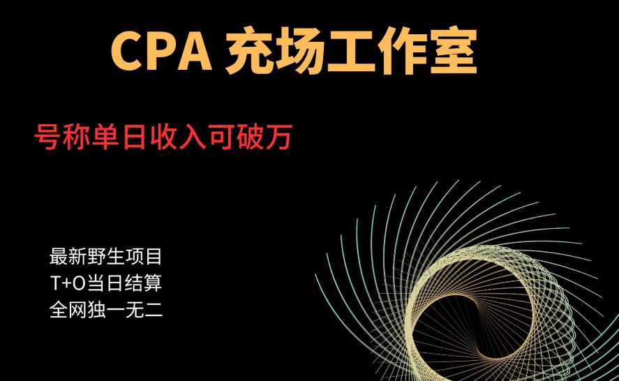 cpa充场工作室，号称单日收入10000+（揭秘）-汇智资源网