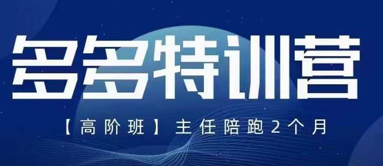 纪主任·5月最新多多特训营高阶班，玩法落地实操，多多全掌握-汇智资源网