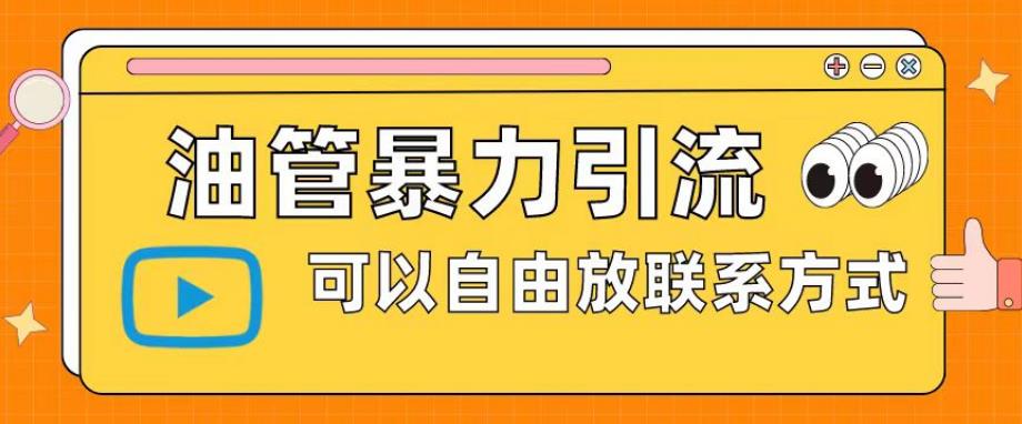 油管暴力引流，可以自由放联系方式【揭秘】-汇智资源网