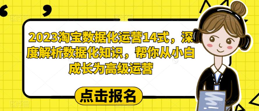 2023淘宝数据化运营14式，深度解析数据化知识，帮你从小白成长为高级运营-汇智资源网