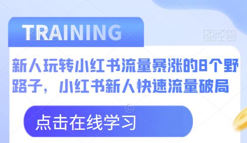 新人玩转小红书流量暴涨的8个野路子，小红书新人快速流量破局-汇智资源网