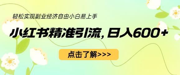 小红书精准引流，小白日入600+，轻松实现副业经济自由（教程+1153G资源）-汇智资源网