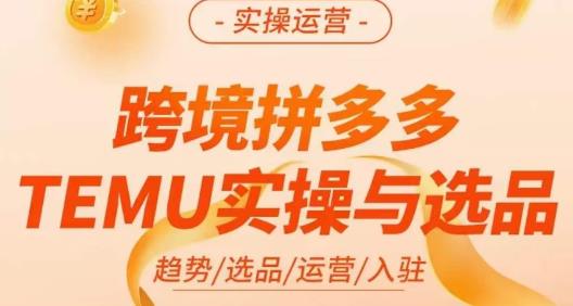 伍跃·跨境拼多多TEMU实操与选品，​趋势/选品/运营/入住（27节完整）-汇智资源网