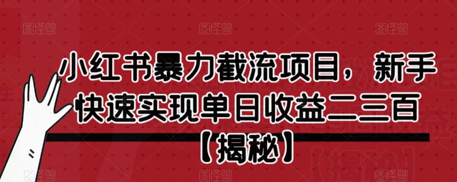 小红书暴力截流项目，新手快速实现单日收益二三百【仅揭秘】-汇智资源网