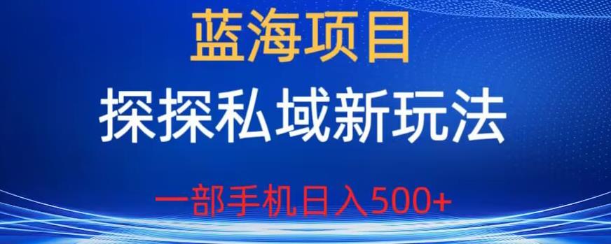 蓝海项目，探探私域新玩法，一部手机日入500+很轻松【揭秘】-汇智资源网