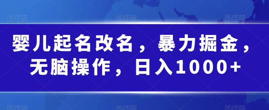 婴儿起名改名，暴力掘金，无脑操作，日入1000+【揭秘】-汇智资源网