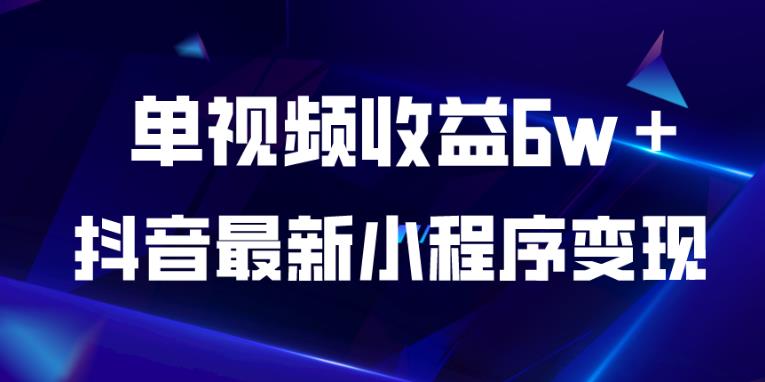 抖音最新小程序变现项目，单视频收益6w＋，小白可做【揭秘】-汇智资源网