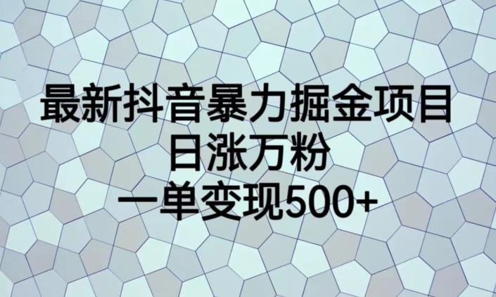 最新抖音暴力掘金项目，日涨万粉，一单变现500+【揭秘】-汇智资源网