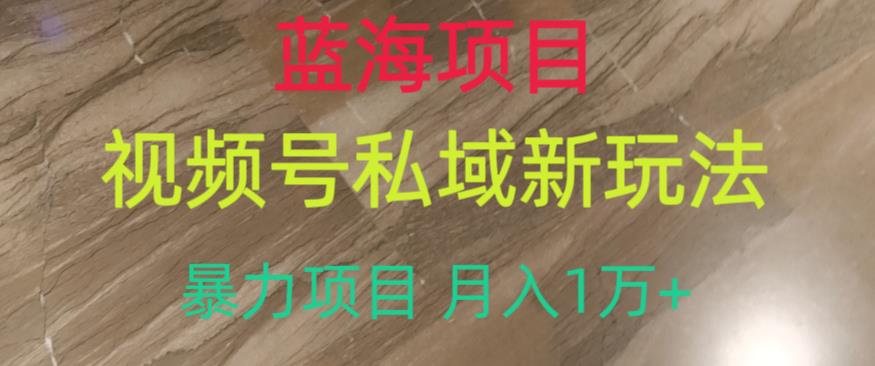 蓝海项目，视频号私域新玩法，暴力项目月入1万+【揭秘】-汇智资源网