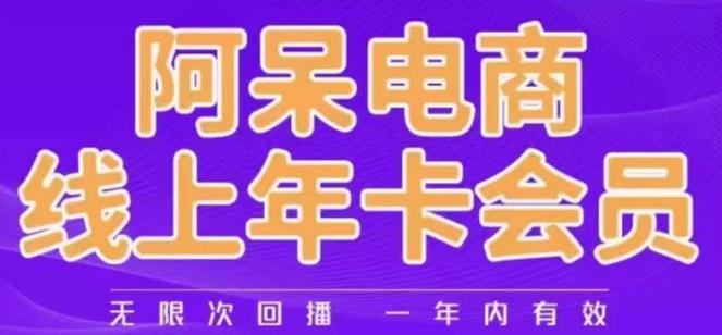 阿呆电商线上年会员，阿呆电商干货分享（更新中）-汇智资源网