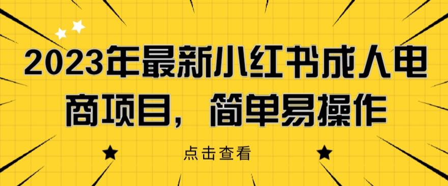 2023年最新小红书成人电商项目，简单易操作【详细教程】【揭秘】-汇智资源网