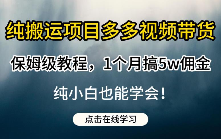 纯搬运项目多多视频带货保姆级教程，1个月搞5w佣金，纯小白也能学会【揭秘】-汇智资源网