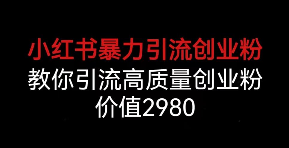 小红书暴力引流创业粉，教你引流高质量创业粉，价值2980【揭秘】-汇智资源网