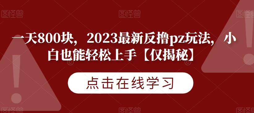 一天800块，2023最新反撸pz玩法，小白也能轻松上手【仅揭秘】-汇智资源网