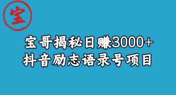 宝哥揭秘日赚3000+抖音励志语录号短视频变现项目-汇智资源网