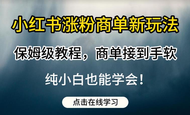 小红书涨粉商单新玩法，保姆级教程，商单接到手软，纯小白也能学会【揭秘】-汇智资源网