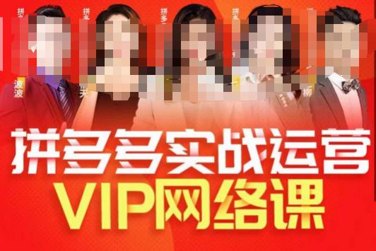 推易拼多多VIP全套直播课程，拼多多店铺实操玩法+实战玩法选款内功+直通车高阶等-汇智资源网