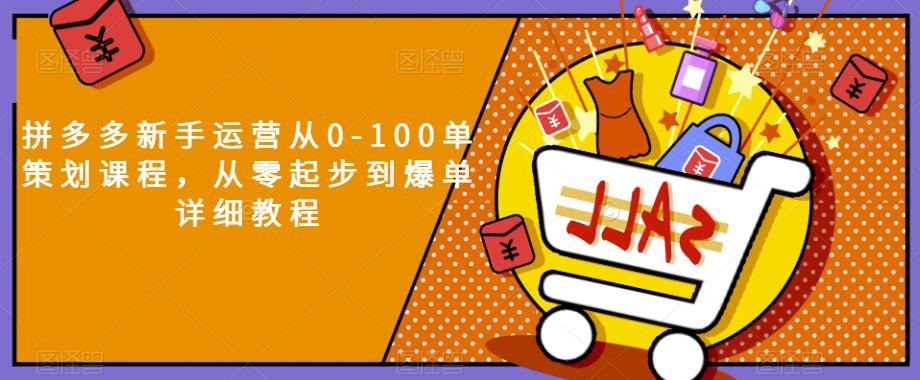 拼多多新手运营从0-100单策划课程，从零起步到爆单详细教程-汇智资源网