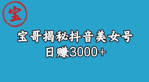 宝哥揭秘抖音美女号玩法，日赚3000+【揭秘】-汇智资源网