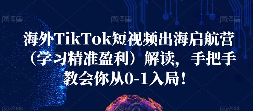 海外TikTok短视频出海启航营（学习精准盈利）解读，手把手教会你从0-1入局！-汇智资源网