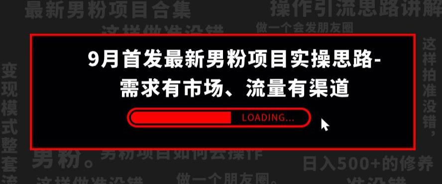 9月首发最新男粉项目实操思路-需求有市场，流量有渠道【揭秘】-汇智资源网