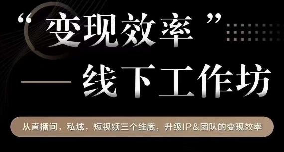 变现效率线下工作坊，从‮播直‬间、私域、‮视短‬频‮个三‬维度，升级IP和团队变现效率-汇智资源网