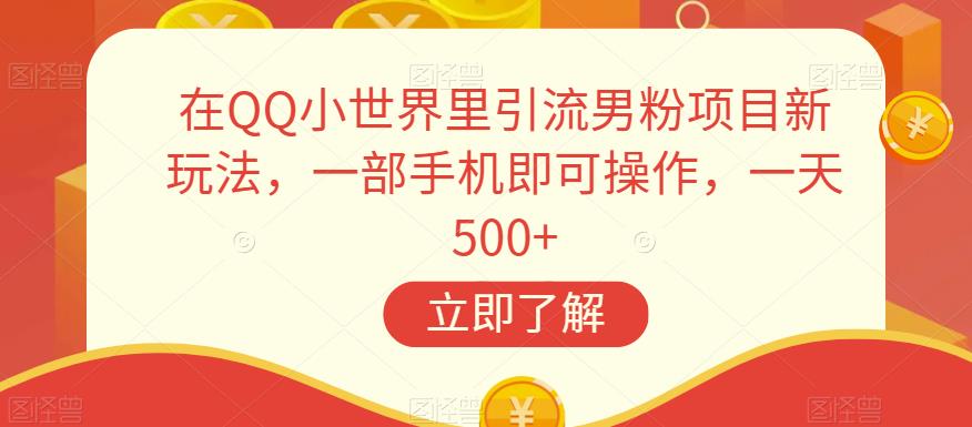 在QQ小世界里引流男粉项目新玩法，一部手机即可操作，一天500+【揭秘】-汇智资源网