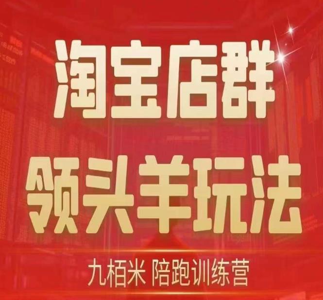 九栢米-淘宝店群领头羊玩法，教你整个淘宝店群领头羊玩法以及精细化/终极蓝海/尾销等内容-汇智资源网