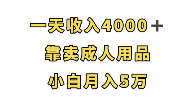 一天收入4000+，靠卖成人用品，小白轻松月入5万【揭秘】-汇智资源网