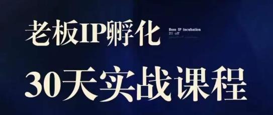 诸葛·2023老板IP实战课，实体同城引流获客，IP孵化必听-汇智资源网