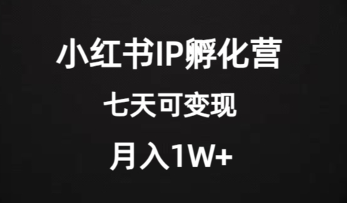 价值2000+的小红书IP孵化营项目，超级大蓝海，七天即可开始变现，稳定月入1W+-汇智资源网