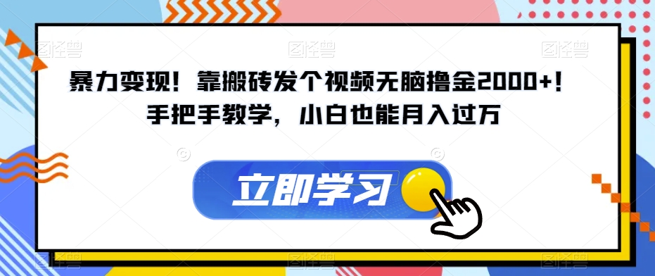 暴力变现！靠搬砖发个视频无脑撸金2000+！手把手教学，小白也能月入过万【揭秘】-汇智资源网