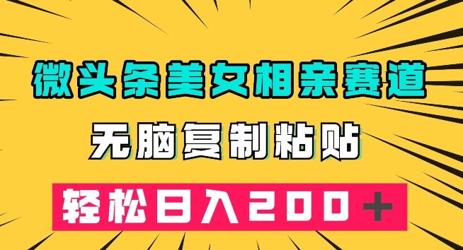 微头条冷门美女相亲赛道，无脑复制粘贴，轻松日入200＋【揭秘】-汇智资源网