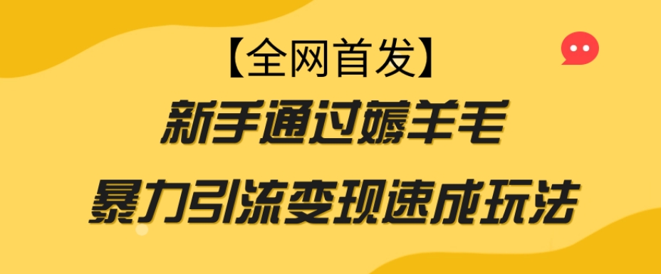 【全网首发】新手通过薅羊毛暴力引流变现速成玩法-汇智资源网