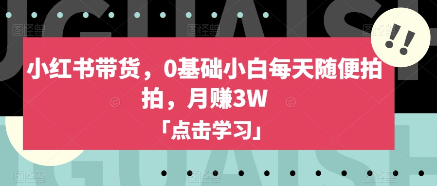 小红书带货，0基础小白每天随便拍拍，月赚3W【揭秘】-汇智资源网