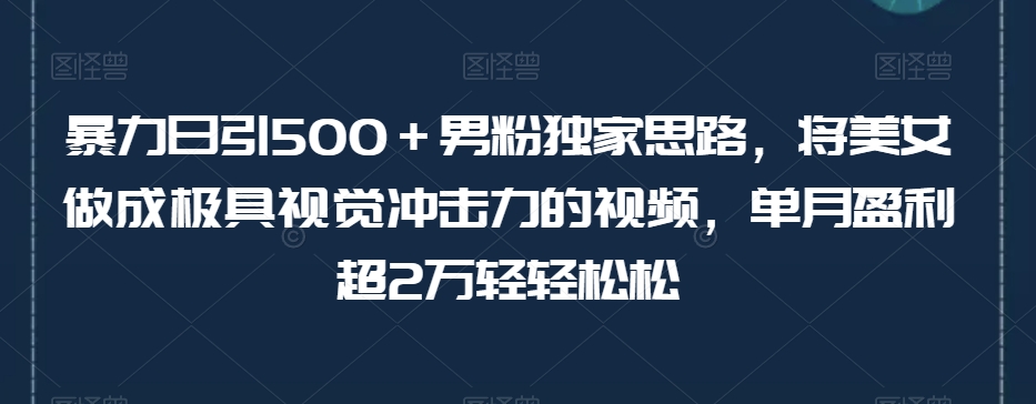 暴力日引500＋男粉独家思路，将美女做成极具视觉冲击力的视频，单月盈利超2万轻轻松松-汇智资源网