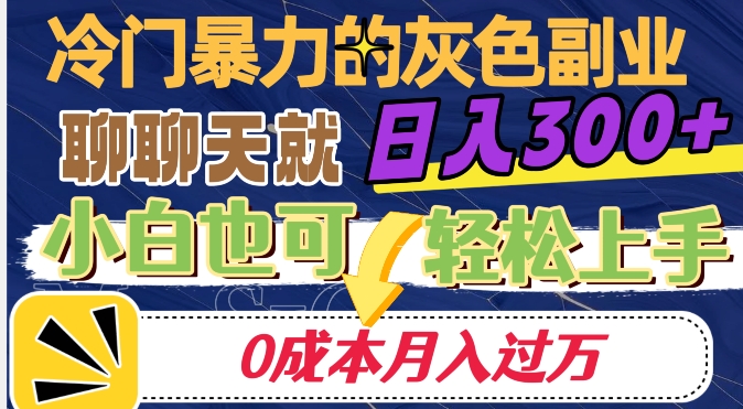 冷门暴利的副业项目，聊聊天就能日入300+，0成本月入过万【揭秘】-汇智资源网