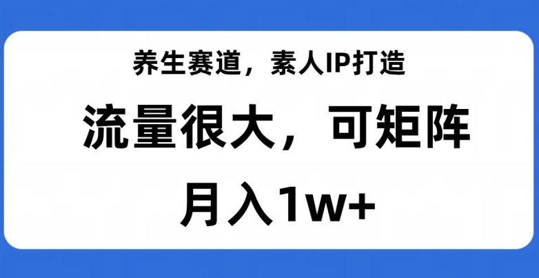 养生赛道，素人IP打造，流量很大，可矩阵，月入1w+【揭秘】-汇智资源网