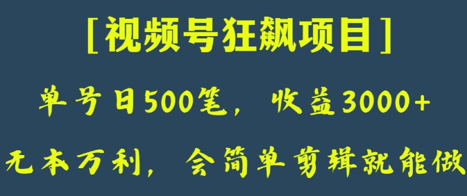 日收款500笔，纯利润3000+，视频号狂飙项目，会简单剪辑就能做【揭秘】-汇智资源网