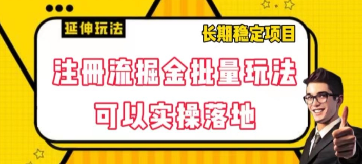 注册流掘金批量玩法，可以实操落地【揭秘】-汇智资源网