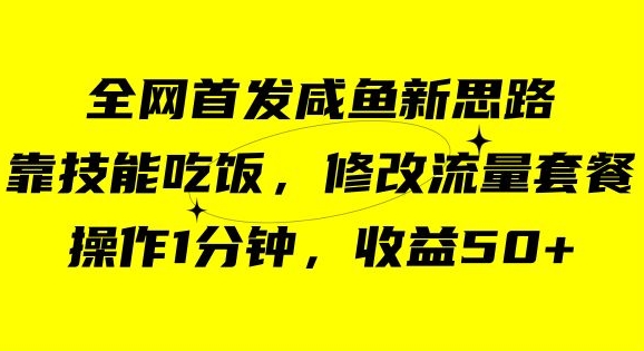 咸鱼冷门新玩法，靠“技能吃饭”，修改流量套餐，操作1分钟，收益50【揭秘】-汇智资源网