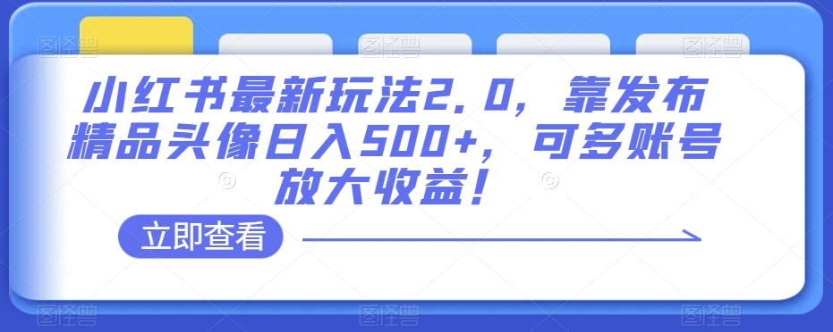 小红书最新玩法2.0，靠发布精品头像日入500+，可多账号放大收益！【揭秘】-汇智资源网