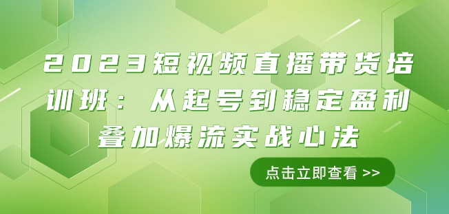 2023短视频直播带货培训班：从起号到稳定盈利叠加爆流实战心法（11节课）-汇智资源网