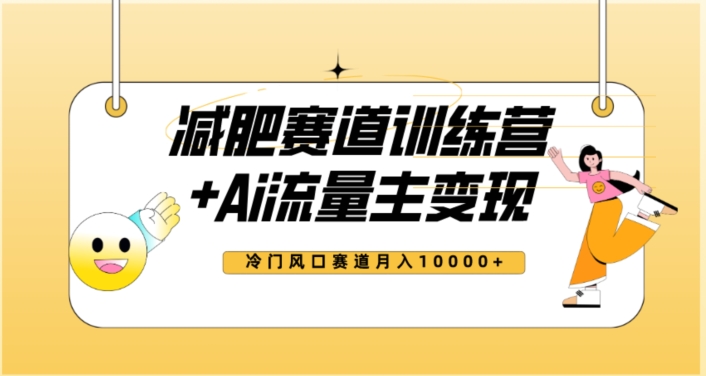 全新减肥赛道AI流量主+训练营变现玩法教程，蓝海冷门赛道小白轻松上手，月入10000+-汇智资源网