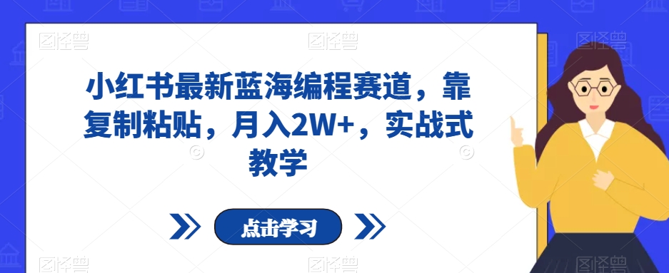 小红书最新蓝海编程赛道，靠复制粘贴，月入2W+，实战式教学【揭秘】-汇智资源网