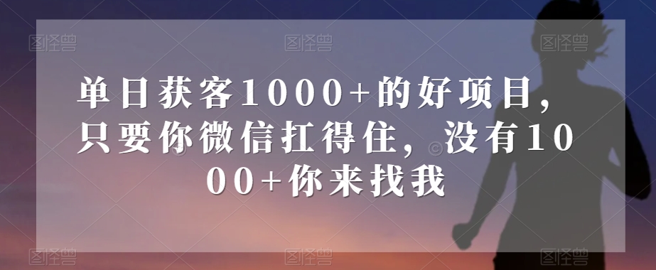 单日获客1000+的好项目，只要你微信扛得住，没有1000+你来找我【揭秘】-汇智资源网