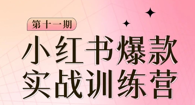 小红书博主爆款训练营第11期，手把手教你从0-1做小红书，从定位到起号到变现-汇智资源网