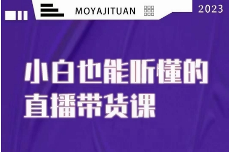 大威本威·能听懂的直播带货课，小白也能听懂，20节完整-汇智资源网